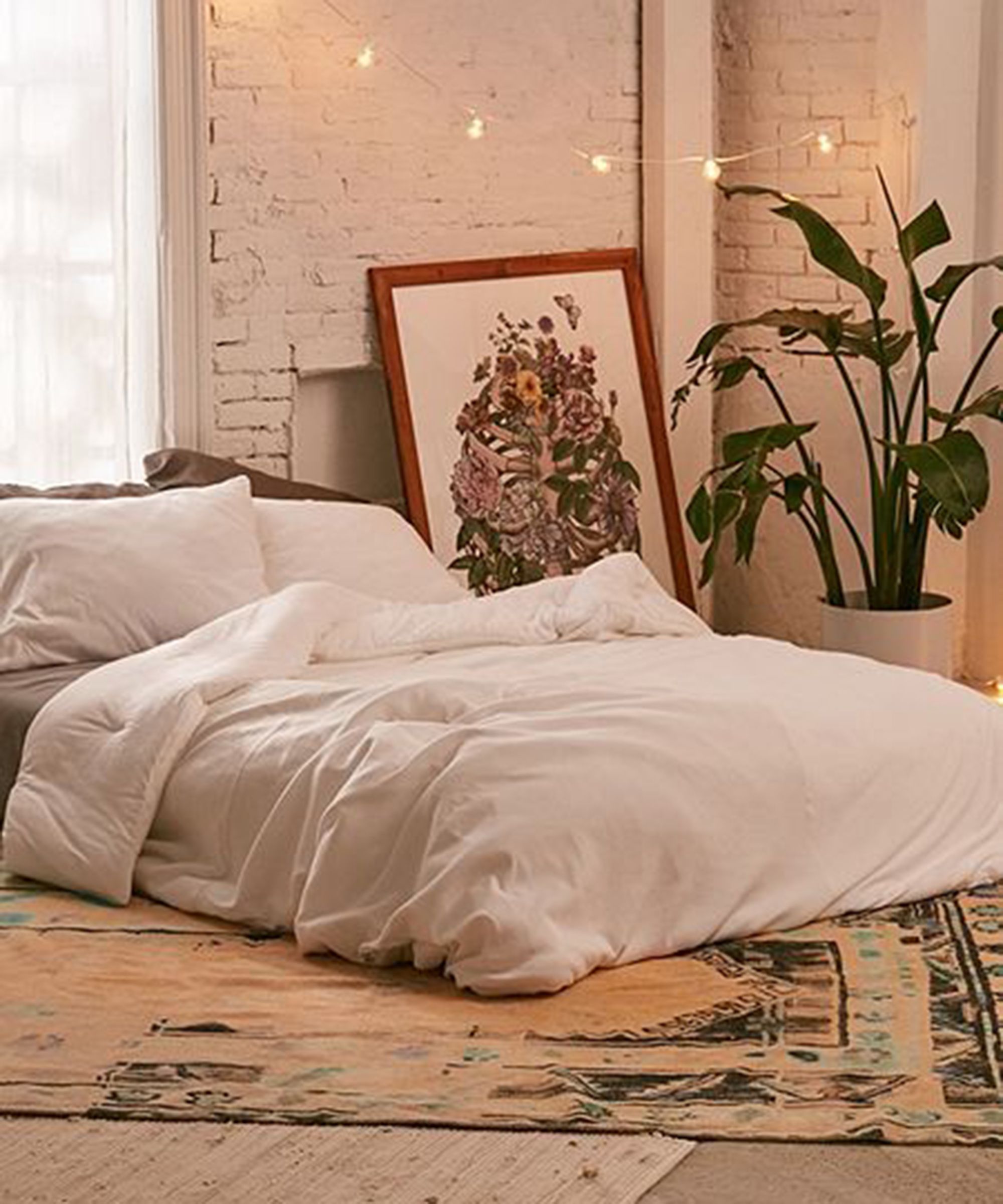 Plants for Home Decor: Top Ten Home Decor Plants to Grow in Your Garden